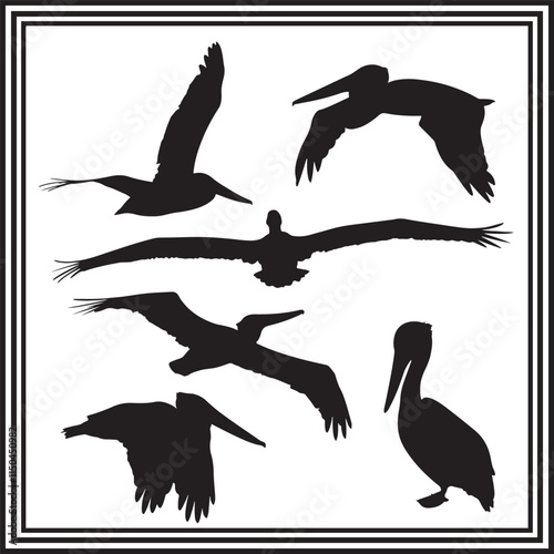 Set of pelican bird silhouette vector illustration.