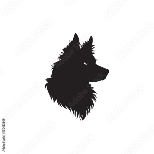 black and white dog