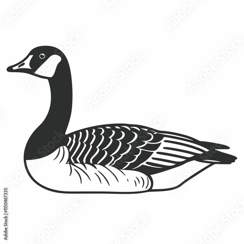 duck isolated on white background