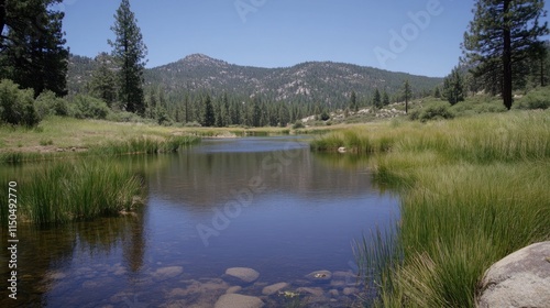 Serene mountain lake with calm water, surrounded by lush greenery and tall grass, under a clear blue sky.