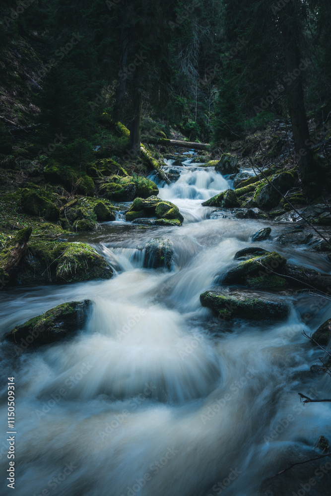 Obraz premium A peaceful river gently flowing through a lush, green forest area