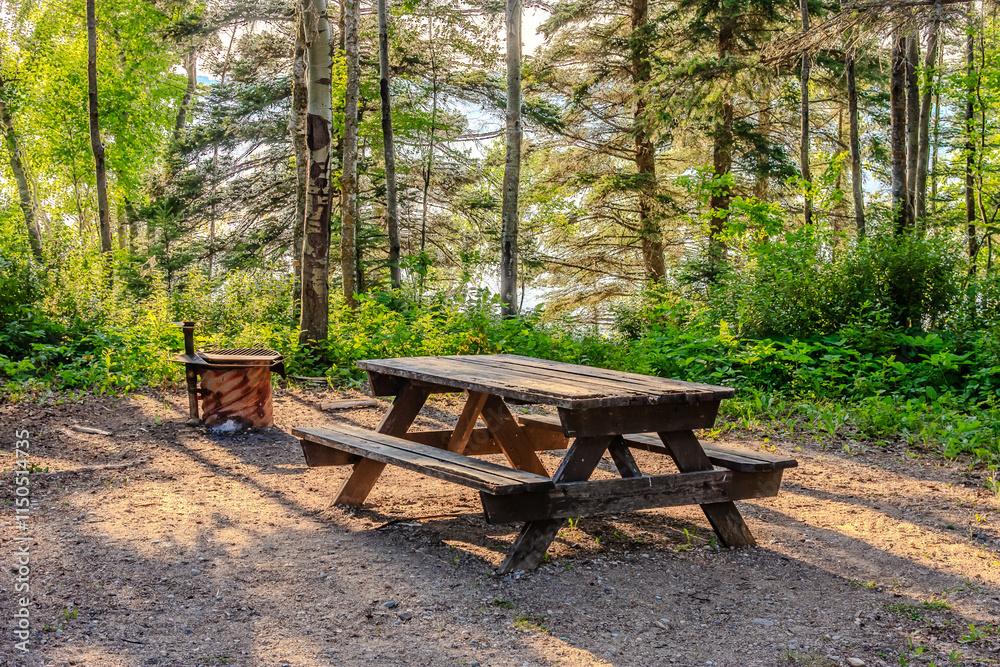 A picnic table and a small fire pit are set up in a wooded area A picnic table and a small fire pit are set up in a wooded area