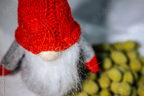 Close-up of a decorative gnome with a knitted red hat, white beard and a blurred background, yellow-green nuts with wasabi flavor. Ideal for holiday themes and seasonal designs.
 photo