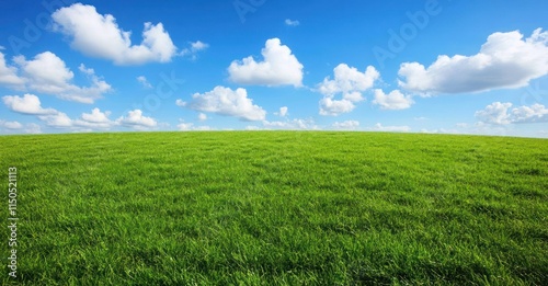 Lush Green Field Under a Blue Sky with Fluffy Clouds