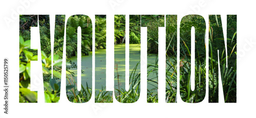 Fotografie Evolution