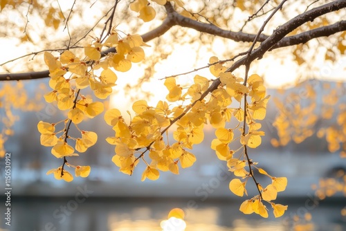 Bright yellow leaves glistening in the sunlight near a tranquil body of water during autumn photo