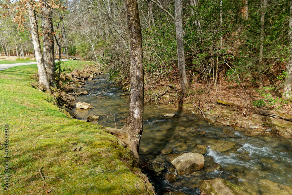 Trail along the creek