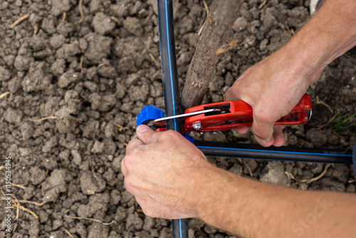 man cuts a plastic pipe with pipe cutters. installation of an automatic drip irrigation system for the garden photo