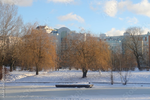 Photography winter park, bare trees in winter in the landscape park Yuzhnoye Butovo, Moscow,