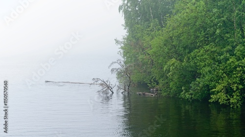  Valaam Island, Russia, July 12, 2024. The island's shore is in fog.                              