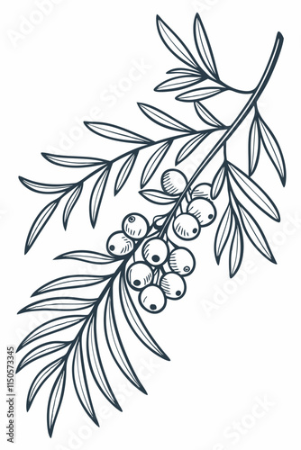 Botanical Line Art Background with Flowers and Leaves