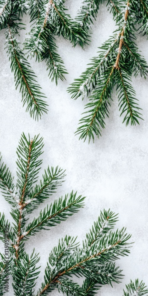 Artistic Composition of Winter Evergreen Tree Branches: A Beautiful Nature-Inspired Christmas Background Artistic Composition of Winter Evergreen Tree Branches: A Beautiful Nature-Inspired Christmas Background