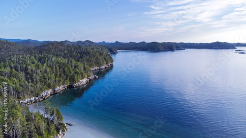 Looking up the coastline of an island in British Columbia Canada. Shore is full of trees growing to the edge of the island. Calm water reflects the mostly clear blue sky 