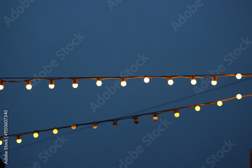 The sparkling twinkling lights create a beautiful display against a deep blue night sky