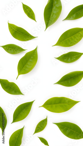 Wallpaper Mural Green flying leaves isolated on white background with place foe text. Fresh tea, air purifier, organic, vegan, eco or beauty product concept design, sticker style Torontodigital.ca