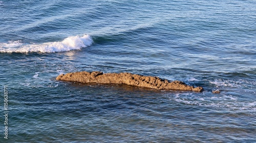 Fototapeta Naklejka Na Ścianę i Meble -  sea wave on the shore