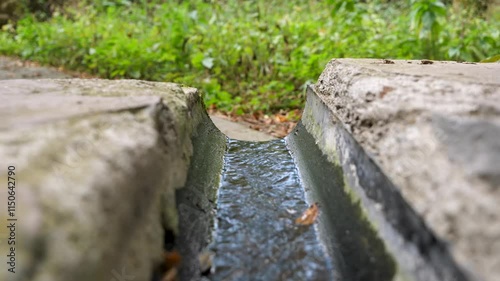 Flowing water through drainage channel in natural setting. Water moves gently through a drainage channel surrounded by lush greenery.