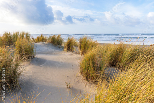 Tranquil Coastal Dunes with Golden Grasses and Ocean Views Under a Vibrant Blue Sky