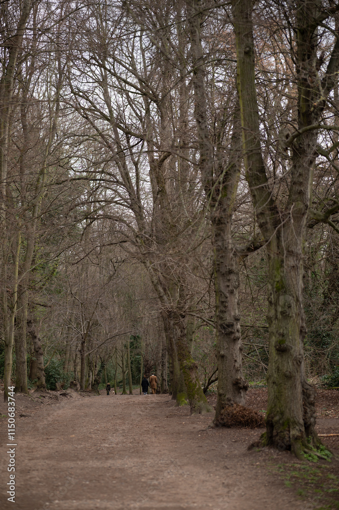 Fototapeta premium London unique spots that shows the daylife and the londoner mood