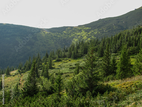 Exploring the Carpathian Mountains in Ukraine photo