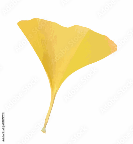 Golden Ginkgo biloba leaf isolated on white background. A ginkgo leaf in autumn. Golden and yellow leaves of the Ginkgo. Ginkgo biloba commonly known as gingko, maidenhair tree. Vector. For design.