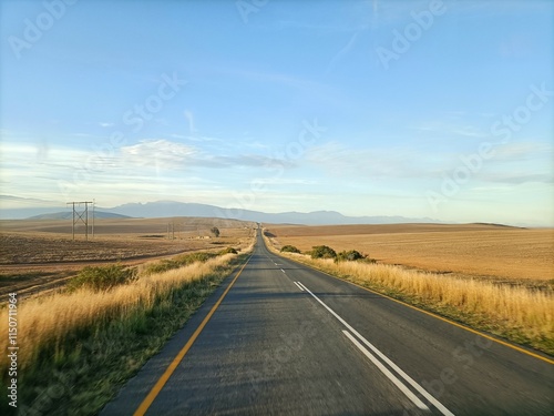 Route solitaire traversant les plaines dorées en Afrique du Sud