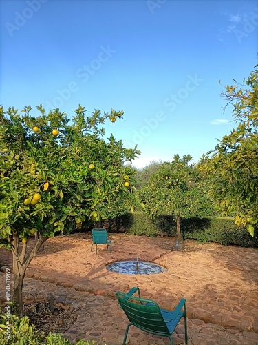 orangerie du jardin de babylonstoren farm en afrique du sud