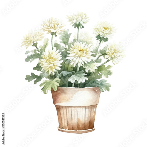 Blooming Flowers in Flower Pot photo