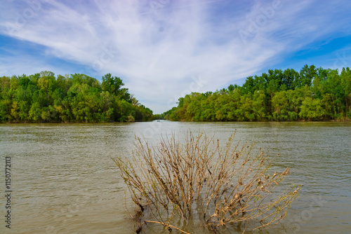 Φωτογραφία The Körös and River Tisza near Csongrad