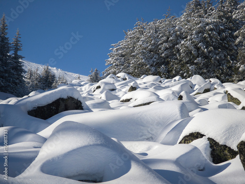 Winter landscape of Vitosha Mountain, Bulgaria photo