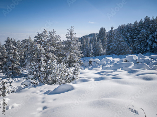 Winter landscape of Vitosha Mountain, Bulgaria photo