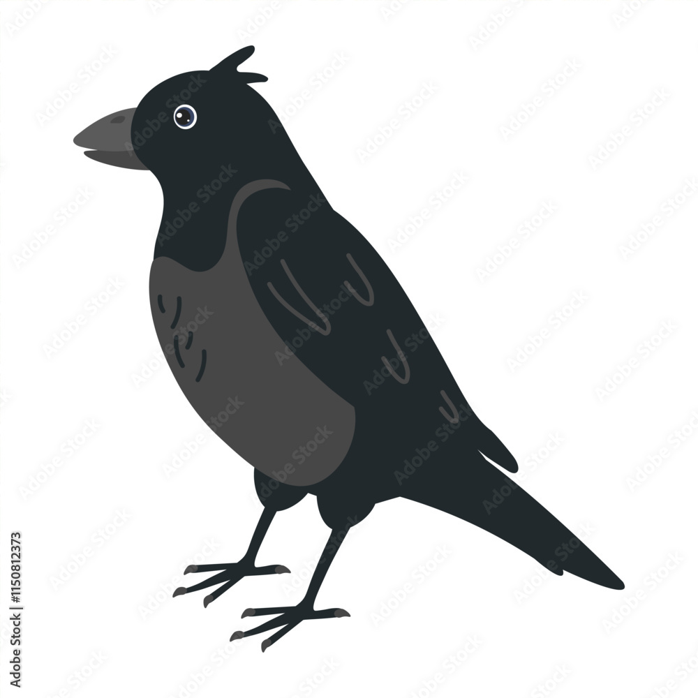 Fototapeta premium Black bird with distinct features standing gracefully in a simple pose