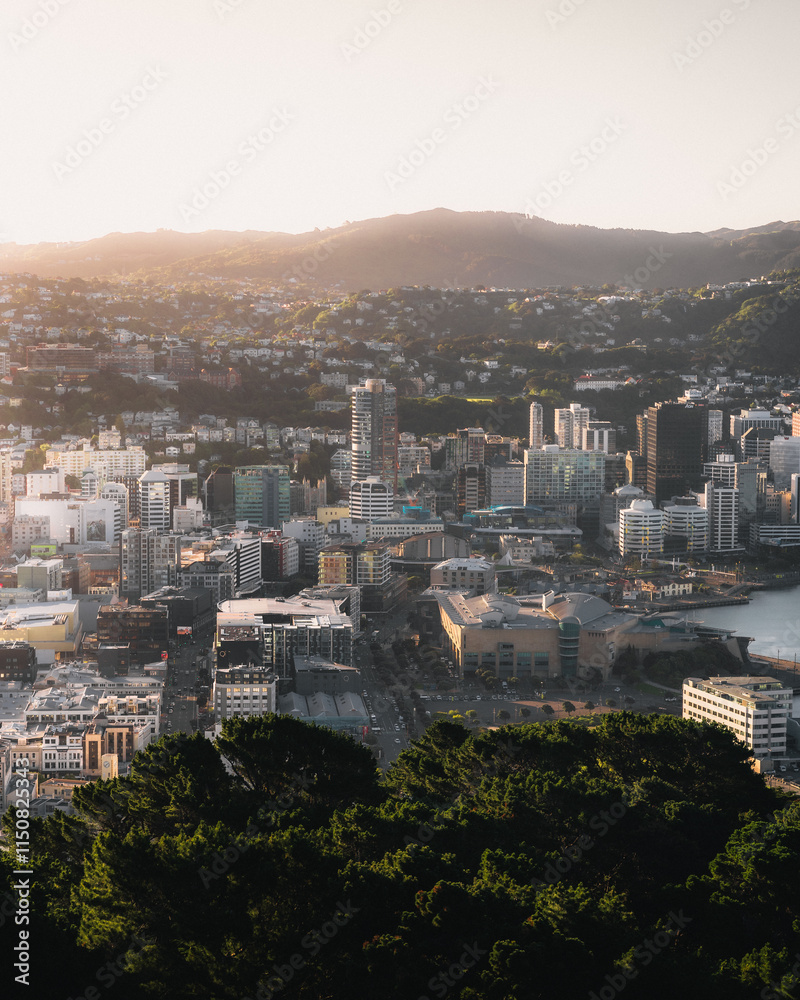 Fototapeta premium A view of Wellington, New Zealand at sunset from mount Victoria.