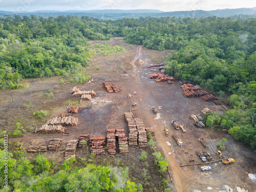 Fotografía Aerial view of a logging yard in the Amazon rainforest: The yard is located in a clearing surrounded by dense forest