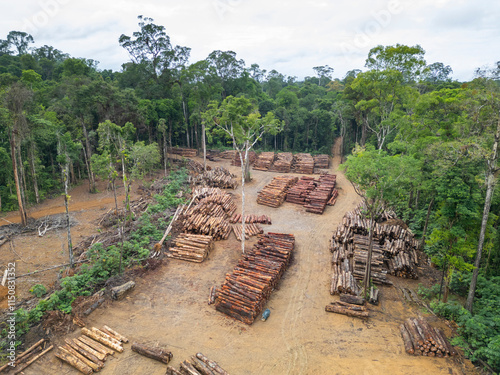 Aerial view of a logging yard in the Amazon rainforest: The yard is located in a clearing surrounded by dense forest. The logs are stacked in neat rows, and they are a variety of sizes and species.