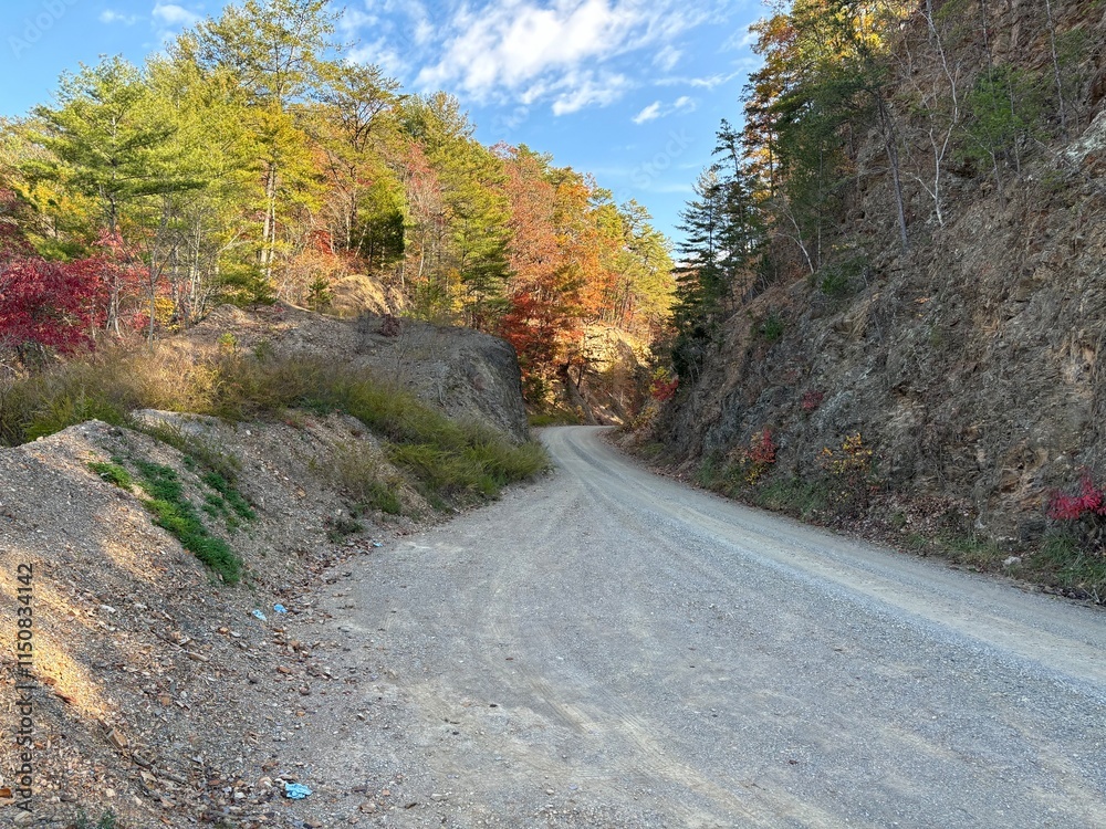 Fototapeta premium Gravel Road - Botetourt County, VA