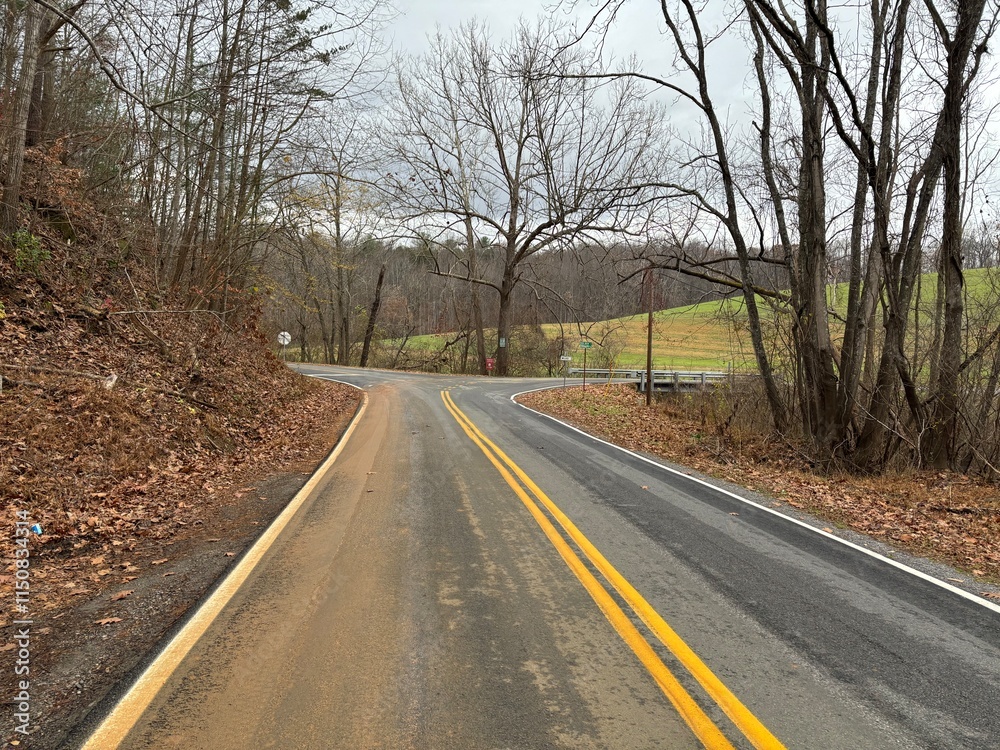 Fototapeta premium Roadway Markings - Franklin County, VA