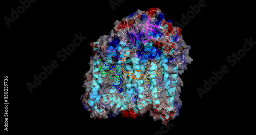  A Molecular Solar Panel:  Rhodobacter sphaeroides Photosynthetic Reaction Center, 3D Molecule Electrostatic Surface, 4K