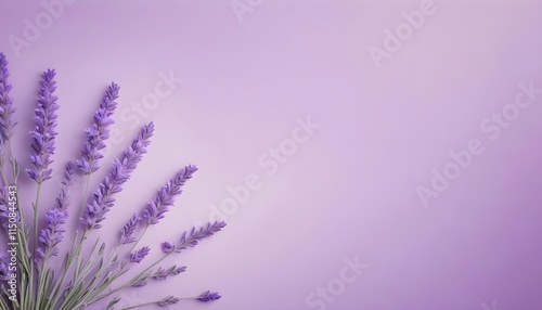 Clear Plain Shiny Warm Soft Vintage Bokeh Cloudy Wave Like Geometric Purple Background or Texture