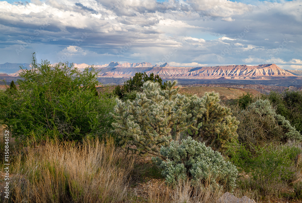 Obraz premium View of Zion National Park from Silver Reef