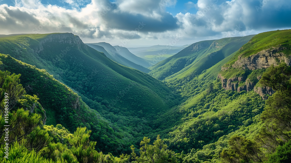A breathtaking scenic view of lush green landscapes in Garden Route National Park a gem of South Africa's beauty A breathtaking scenic view of lush green landscapes in Garden Route National Park a gem of South Africa's beauty
