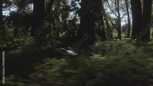 秋の風景