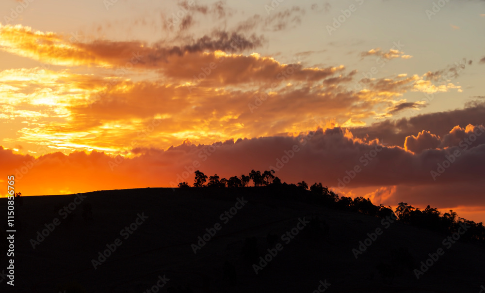 Obraz premium Silhouettes of countryside Western Australia