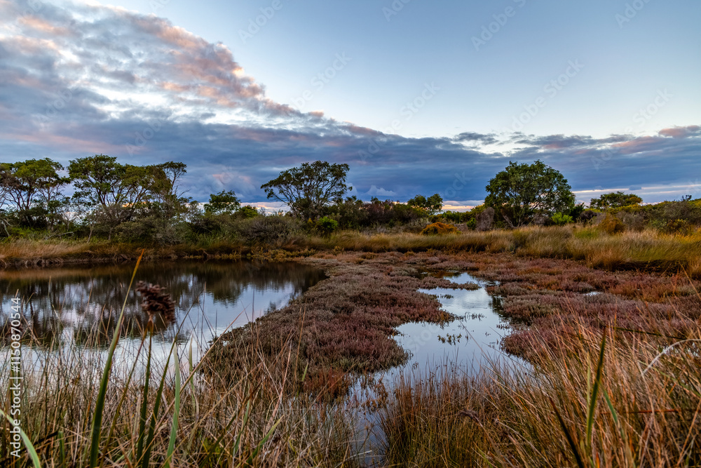 Wetlands of Yanchep National Park Western Australia