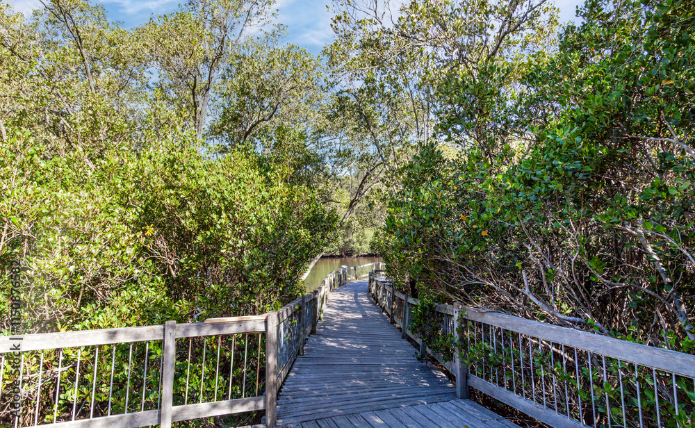 Sydney's north, Ku-ring-gai Chase National Park combines important history with scenic beauty,