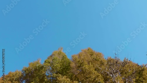秋の風景