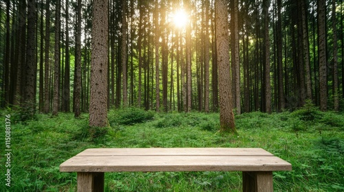 Serene nature concept. A serene wooden bench nestled in a lush green forest, illuminated by soft sunlight.