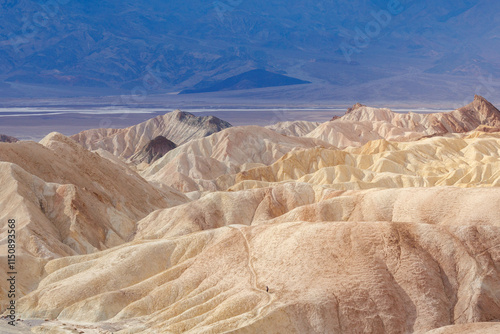 The Lone Wanderer in the Golden Valley photo