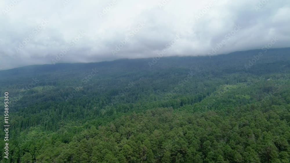 landscape with fog landscape with fog