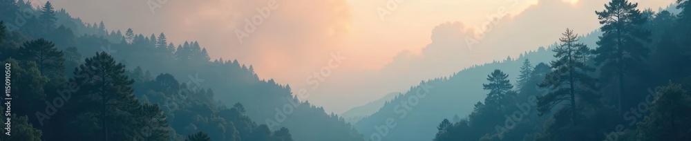 Fototapeta premium Gradient misty forest background with blurred trees, forest, gradient, background